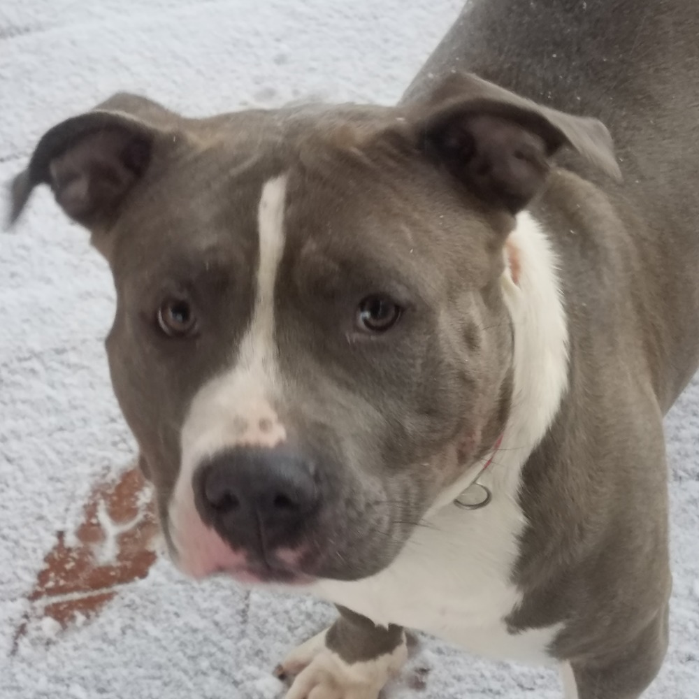 Meet your Posher, Earlene